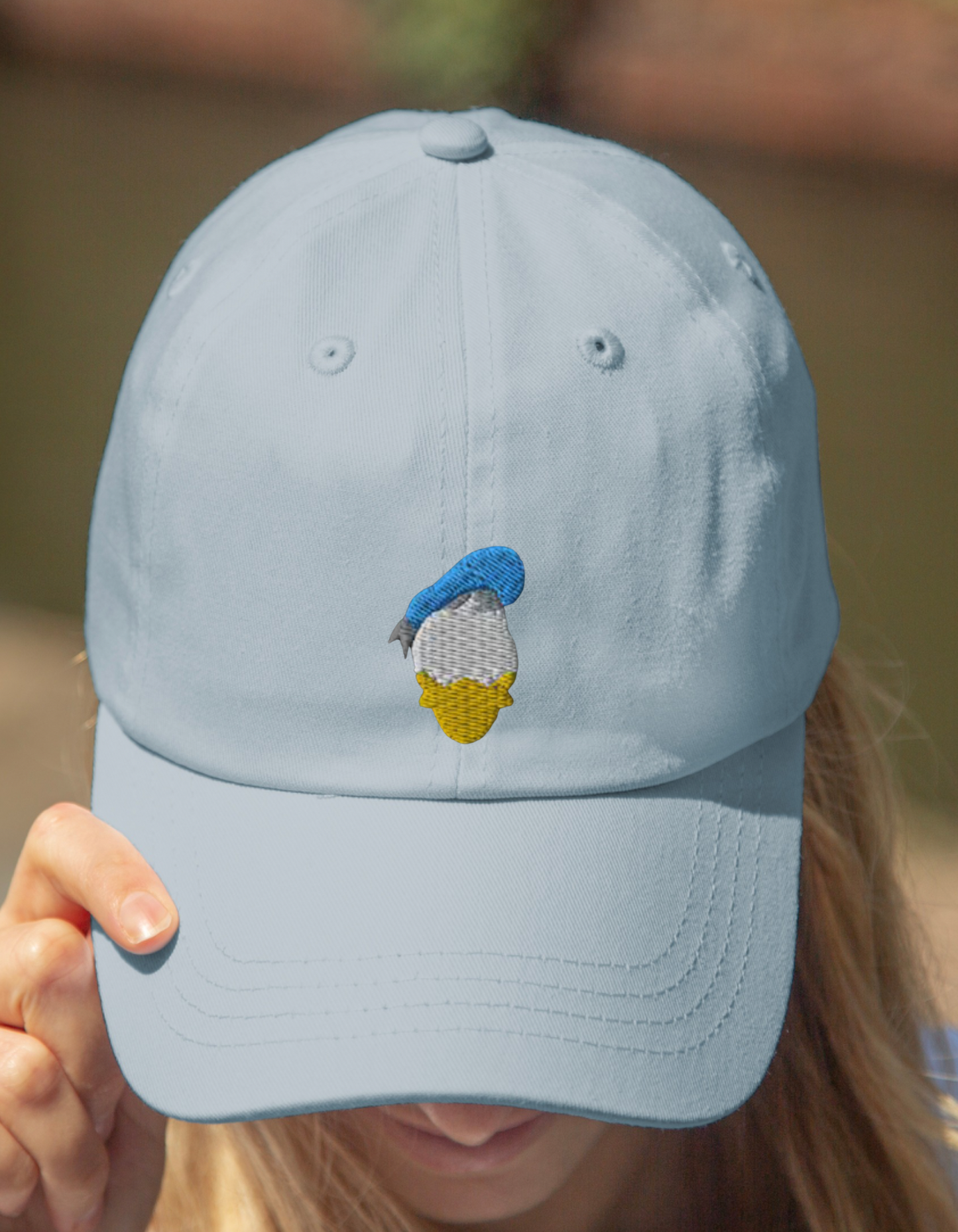 Donald Hat