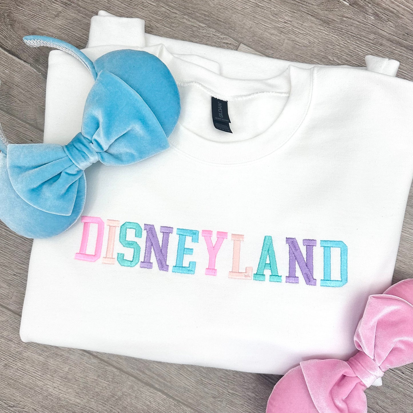 Disneyland block design